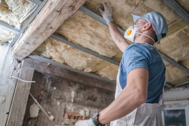 Best Specialized Insulation Services in Fort Carson, CO