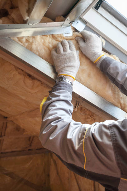 Best Eco-Friendly Insulation in Fort Carson, CO